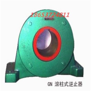 帶式輸送機(jī)用逆止器 滾柱式逆止器 減速機(jī)輸送機(jī)配件