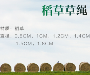 湖南陽陽農(nóng)產(chǎn)品開發(fā)有限公司