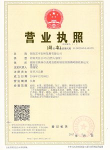 營(yíng)業(yè)執(zhí)照