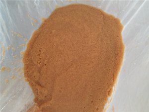 中高檔魚類繁育養殖